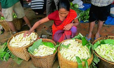 বাঁশকোঁড়ল আহরণে রাঙ্গুনিয়ায় বিলুপ্তের পথে বাঁশ শিল্প