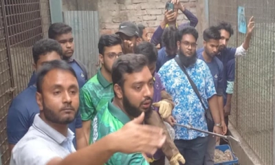 ময়মনসিংহ চিড়িয়াখানা সিলগালা, ভাল্লুক-অজগরসহ ২৩ বন্যপ্রাণী উদ্ধার