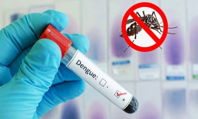 ডেঙ্গুতে আরও একজনের মৃত্যু, আক্রান্ত ১২৫৮ জন