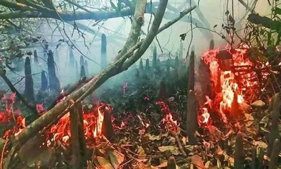 দুই যুগে সুন্দরবনে আগুন লেগেছে ২৭ বার
