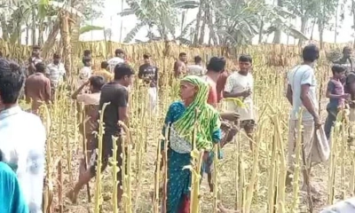 মাছ ধরাকে কেন্দ্র করে দুই দেশের নাগরিকদের মধ্যে সংঘর্ষ
