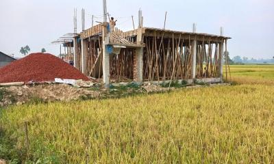 ঈশ্বরদীতে পাঁচ বছরে ফসলি জমি কমেছে ৩ হাজার হেক্টর