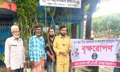 যশোরে এবি পার্টির বৃক্ষরোপণ কর্মসূচি