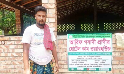 গরুর জন্য ‘আবাসিক হোটেল’, থাকছে যেসব সুবিধা