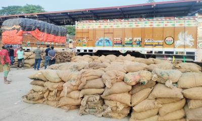 বেনাপোল বন্দরে বিপুল পরিমাণ শুটকি মাছের চালান আটক