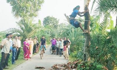 শার্শায় রস সংগ্রহের কাজে ব্যস্ত গাছিরা