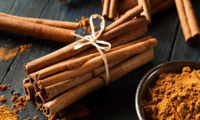 দারুচিনির উপকারিতা ও অপকারিতা
