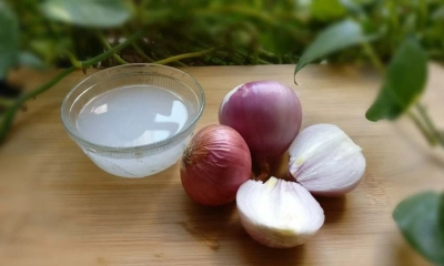 চুলের জন্য পেঁয়াজের উপকারিতা ও অপকারিতা