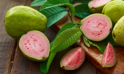 প্রতিদিন পেয়ারা খাওয়ার উপকারিতা