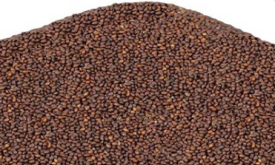তালমাখনা খাওয়ার উপকারিতা