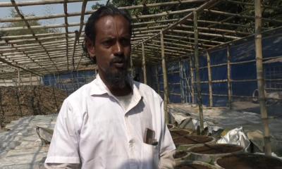 কেঁচো সার উৎপাদন করে আসাবুল এখন স্বাবলম্বী