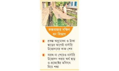 পুনর্বনায়ন প্রকল্পের বরাদ্দ নিয়ে তোলপাড়