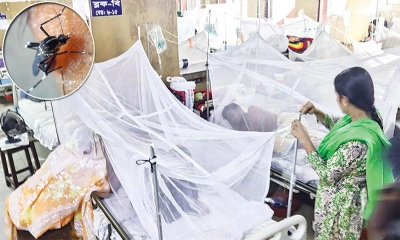 একদিনে ডেঙ্গুতে ৫ জনের মৃত্যু