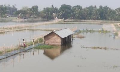 পল্লী বিদ্যুৎ সমিতির সিদ্ধান্তে ডুমুরিয়ায় বোরো চাষ অনিশ্চিত