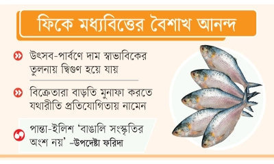 ইলিশের চড়া দামে হতাশ ক্রেতা