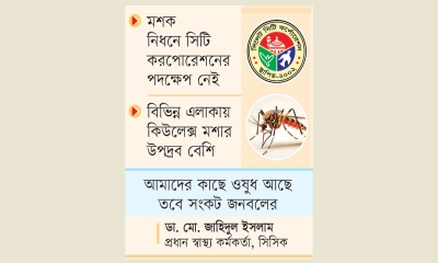 মশায় নাকাল সিলেটবাসী