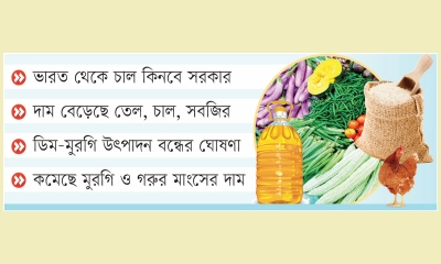 গ্রীষ্মের সবজিতে ত্রাহিভাব