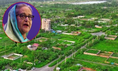 ঝিলমিলের প্লট নেন হাসিনার ড্রাইভার