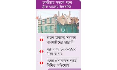 বনের জমিতে অবৈধ গরুর হাট