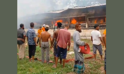 যশোরে আগুনে ৫০ হাজার মুরগি পুড়ে ছাই