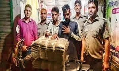 ময়মনসিংহে ২২ কেজি গাজাসহ গ্রেপ্তার দুই