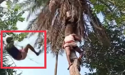 খেজুর গাছ থেকে পড়ে সন্ন্যাসীর মৃত্যু