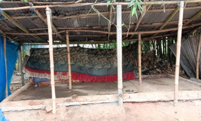 চোরের ‘থাবায়’ বিপর্যস্ত কালীগঞ্জের খামারিরা