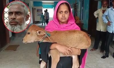 গরু ফেরত পেলেন নারী, বহিষ্কার স্বেচ্ছাসেবক দলনেতা 