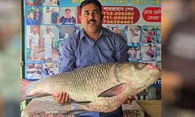 এক কাতল বিক্রি হলো ৭০ হাজারে