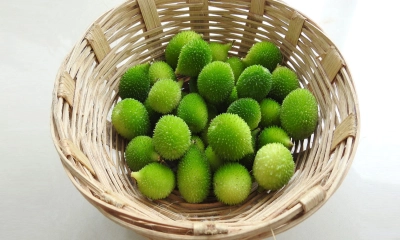 কাকরোলের উপকারিতা