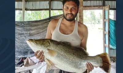 নোয়াখালীতে পুকুরে মিলল ১০ কেজির কোরাল, নিলামে বিক্রি  