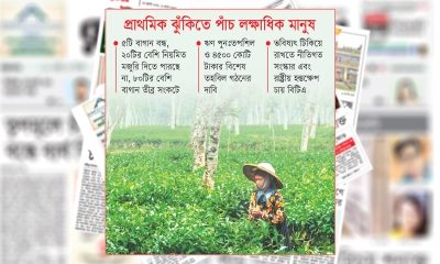 চা শিল্পে দুর্দিন, হাহাকার