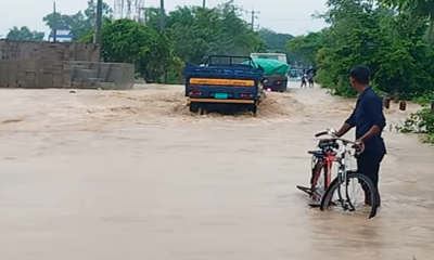মাধবপুরে টানা বর্ষণে মাছ ও কৃষির সর্বনাশ