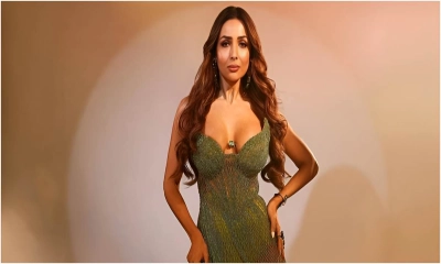 আইনি বিপাকে মালাইকা
