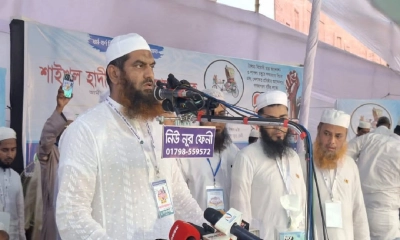 ইসলামবিরোধী কোনো প্রস্তাব বরদাশত করব না: মামুনুল হক