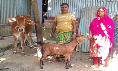 ছাগল পালনে স্বাবলম্বী তারা