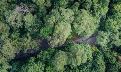 মিয়ানমারে ড্রোন হামলা চালাল ভারত, নিহত ১৯