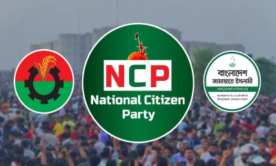বিএনপি নাকি জামায়াত, কার সঙ্গে জোট করবে এনসিপি?