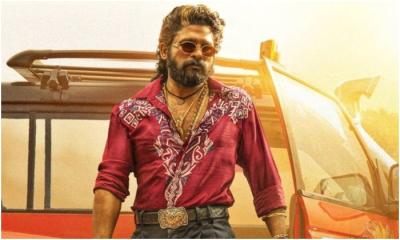 প্রেক্ষাগৃহ থেকে সরিয়ে দেওয়া হচ্ছে ‘পুষ্পা ২’?