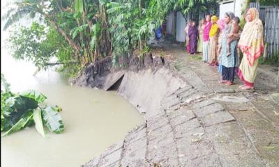 বাঙালি নদীর গ্রাসে ঘরবাড়ি-ফসলি জমি নদীগর্ভে