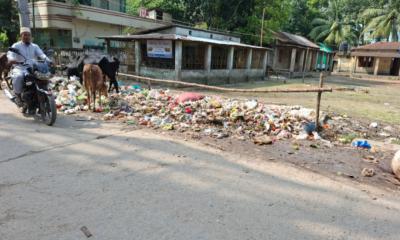 বিদ্যালয়ের সামনে ময়লার ভাগাড়, স্বাস্থ্যঝুঁকিতে শিক্ষার্থী