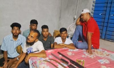 নবীনগরে বন্দুকসহ গ্রেপ্তার ৬