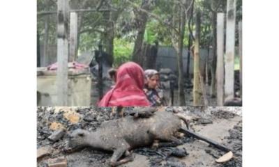জলঢাকায় আগুনে পুড়ে শেষ এক পরিবারের ১০ লাখ টাকার মালামাল