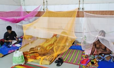 চুয়াডাঙ্গায় বাড়ছে ডেঙ্গুর প্রাদুর্ভাব, দুই মাসে শতাধিক আক্রান্ত