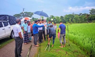 নান্দাইলে জমির অবৈধ দখলদার উচ্ছেদ