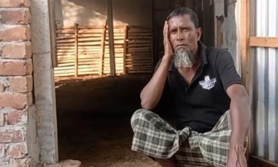 এক রাতে কৃষকের ৪ গরু চুরি