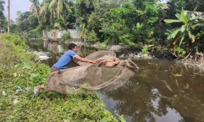 ওরা এখন মাছ ধরে খায়