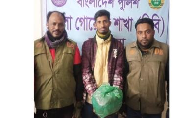 গভীর রাতে গাঁজা বিক্রি করতে গিয়ে ডিবির হাতে আটক কারবারি