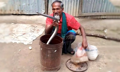 শখ থেকে পেশা, সাপ ধরেই জীবন কাটাচ্ছেন ইদ্রিছ আলী