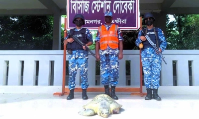 সুন্দরবনের চুনকুরি নদী থেকে আহত কচ্ছপ উদ্ধার, পুকুরে অবমুক্ত